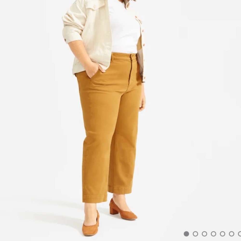 Everlane The Straight Leg Crop Sz 4 Short